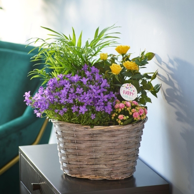 Beautiful Birthday Basket