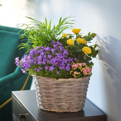 Beautiful Indoor Basket