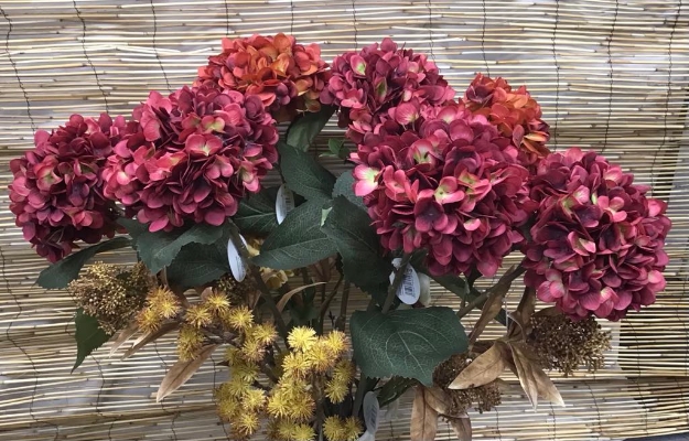 Large Hydrangea and Echinop Collection