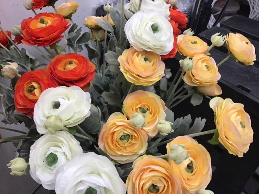 Ranunculus Collection