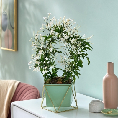 Showstopping Jasmine Hoop