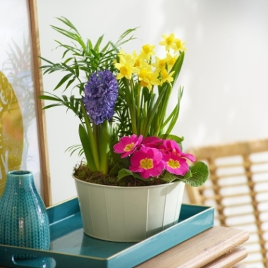 Cheerful Spring Planter