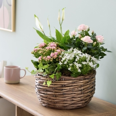 Exquisite Indoor Basket